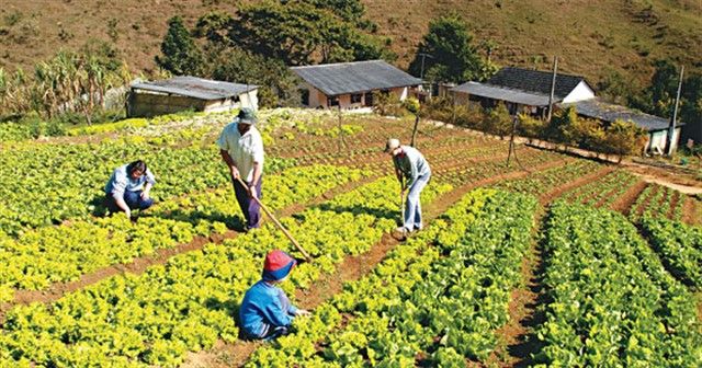 Cleiton Foss Chapecó – A agricultura se constitui em um dos mais importantes segmentos da economia no Oeste de Santa Catarina. De acordo com o Instituto Brasileiro de Geografia e Estatística (IBGE), os empreendimentos...