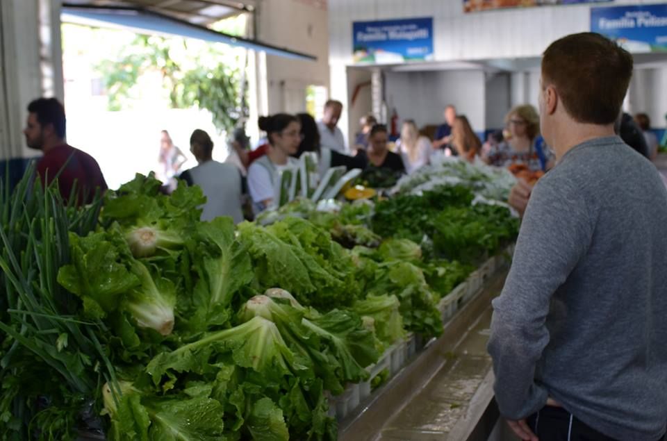 Cleiton Foss Chapecó – A regulamentação das feiras livres de agricultores familiares e de economia solidária em Chapecó está tramitando na Câmara de Vereadores, através do...