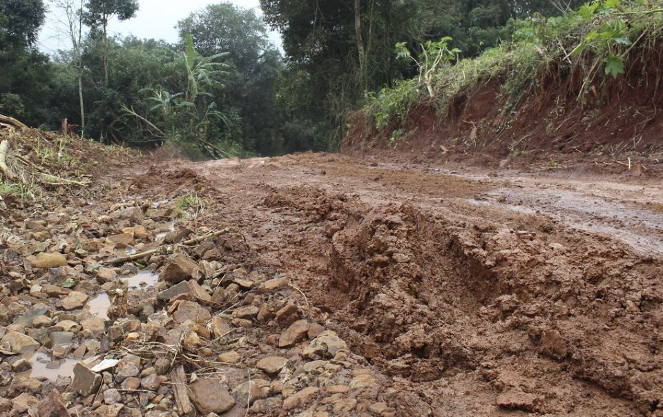 Cleiton Foss Chapecó – A agricultura familiar produz 80% de toda a comida do mundo, este é um dado da Organização das Nações Unidas para Alimentação e Agricultura (FAO). Além...