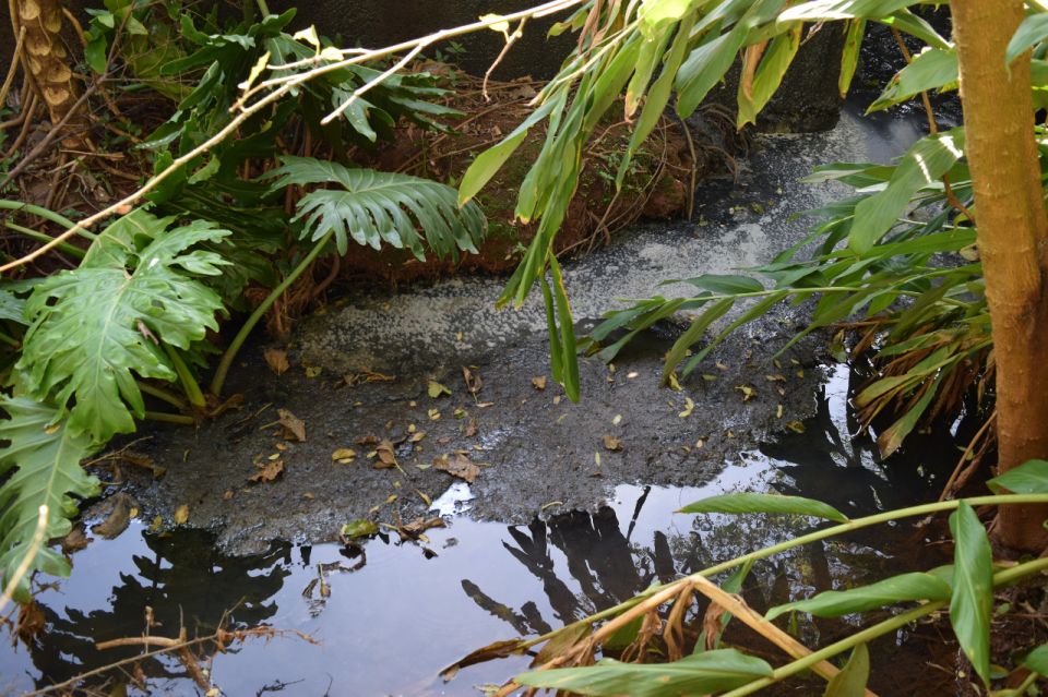 Cleiton Foss Chapecó – No Brasil, a catástrofe ambiental que ganhou espaço nos jornais do mundo todo, é conhecida como a “tragédia de Mariana”. Foram nas ruínas de Bento Rodrigues,...